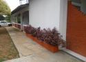 Foto propriedade